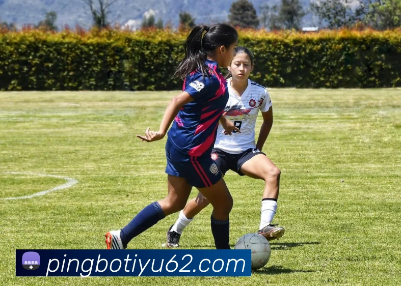 平博体育APP 封面图